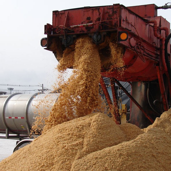 Product categories Magic Salt / Treated Salt